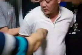 赤壁讨债公司成功追讨回批发货款50万成功案例